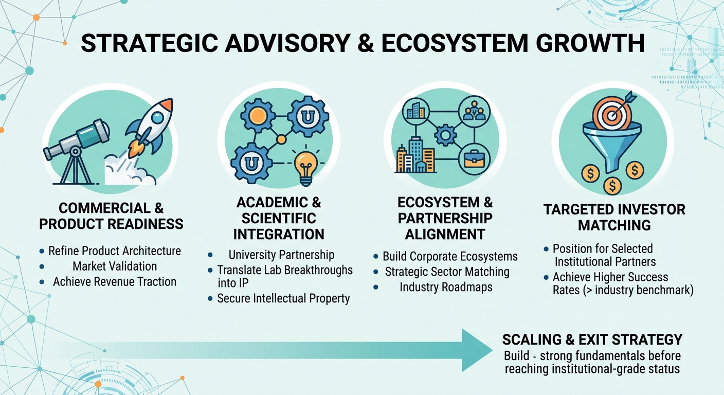 Strategic Advisory Beyond Traditional Venture Capital for Scale-Ups and Research Spin-Outs Zambia